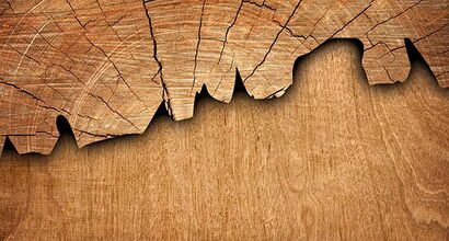 Type of Wood